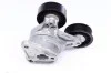 Натяжник паска Ford Focus II/ C-MAX 1.8TDCi 11.04- INA 534 0309 10 (фото 3)