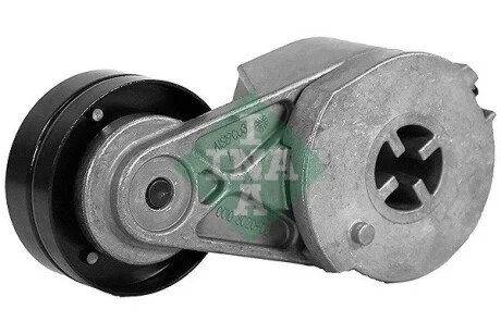 Ролик натяжителя ремня FORD 40 INA 534 0695 10