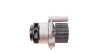 Насос охолоджуючої рідини SEAT CORDOBA, IBIZA III, SKODA FABIA I, FABIA I PRAKTIK, VW GOLF V, POLO, POLO IV 1.6/1.9D 11.99-04.12 INA 538 0325 10 (фото 3)