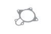 Насос охолоджуючої рідини IVECO DAILY III, DAILY IV, DAILY V, MASSIF 3.0CNG/3.0D 07.99-02.14 INA 538 0575 10 (фото 10)