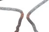 Комплект цепи насоса масляного Hyundai H-1/Kia Sorento 2.5 CRDi 01- (D4CB) INA 558015520 (фото 9)