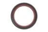 Комплект ланцюга OPEL Z10XE/Z12XE/Z14XEP із шестернями. INA 559 1821 41 (фото 9)