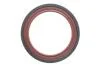 Комплект ланцюга OPEL Z10XE/Z12XE/Z14XEP із шестернями. INA 559 1821 41 (фото 10)