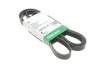 FB 6PK2520 Ремінь рівчаковий INA (шт.) FB6PK2520