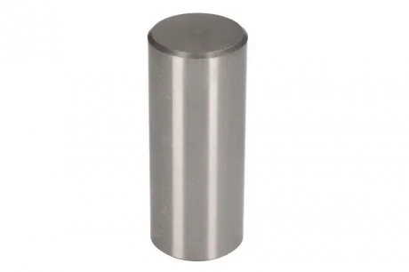 Сателіт диференціала IVECO 7175261 (фото 1)