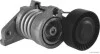Ролик натяжний J1145079