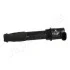 Катушка зажигания LANDROVER FREELANDER 2,5 V6 00-. JAPANPARTS BO-L01 (фото 1)