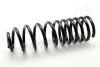 JAPANPARTS VW Пружина задн.Passat Variant 88- ZC5490C
