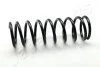 SUZUKI Пружина задняя VITARA 1.6-2.0 -99 JAPANPARTS ZC5499C (фото 1)