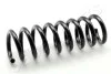 JAPANPARTS DB Пружина подвески задн. W210 96- ZC5676A