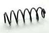 JAPANPARTS FORD Пружина задняя L=328mm Fusion 04- ZC6071H