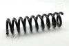 JAPANPARTS пружина задн. DB GLK  X204 ZC6219A