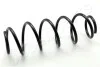 JAPANPARTS Пружина задн. DB B W245 ZC6613H