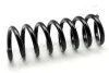 JAPANPARTS MERCEDES-BENZ Пружина задняя W 210 (спорт+регул.) ZC6676A