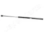 FORD Амортизатор багажника Mondeo 09- JAPANPARTS ZS03031 (фото 1)