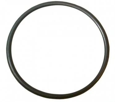Прокладка флянца сист. охолодження Caddy 03- 1.9/2.0 SDI/TDI/T5 1.9 TDI JP GROUP 1119606400 (фото 1)