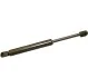 Амортизатор багажника A4/A6 -05(298/95mm 650N) JP GROUP 1181202600