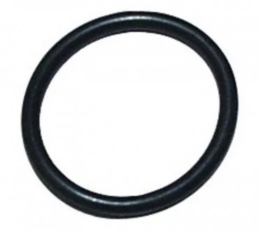 Прокладка маслозливної пробки Astra F/G/H/J/Vectra B (18мм)) JP GROUP 1213850300
