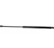 Амортизатор багажника MB C-class (S203) 01-07 1381200500