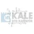KALE HYUNDAI Радиатор охлаждения i10 1.1/1.1CRDi 08- 358300