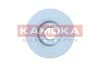 Гальмiвнi диски KAMOKA 103039 (фото 1)