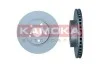 TARCZA HAM PRZOD 255X22 V KAMOKA 103451 (фото 1)