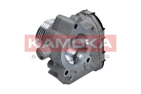 Дросельна заслінка KAMOKA 112020