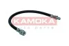 PRZEWOD HAM ELAST TYL LE 1170004
