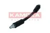 PRZEWOD HAM ELAST TYL KAMOKA 1170083 (фото 2)