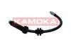 PRZEWOD HAM ELAST TYL KAMOKA 1170155 (фото 3)