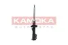 Автозапчастина KAMOKA 2000118 (фото 3)