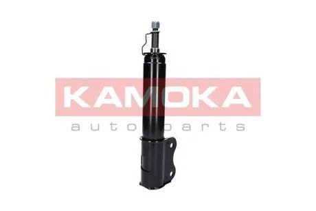 Автозапчастина KAMOKA 2000310