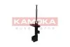 Автозапчастина KAMOKA 2000502 (фото 1)