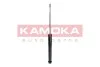 Автозапчастина KAMOKA 2000760 (фото 1)