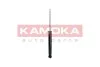 Амортизатор (задній) VW Golf VII/Passat B8/Skoda Octavia lll/SuperB lll 12- 2000846