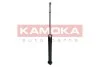 Автозапчастина KAMOKA 2000897 (фото 2)