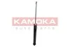 Автозапчастина KAMOKA 2000994 (фото 1)