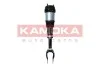 Air Spring Strut 2070001