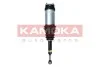 AMORTYZATOR PNEUMAT 2070008