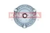 Подушка амортизатора (переднього) BMW 5 (F10)/6 (F06) 09-18 N20/N47/N53/N55/N57/N63 209250