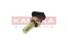 Автозапчастина KAMOKA 4080040 (фото 1)