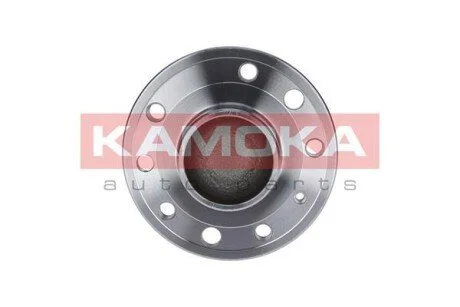 Набір підшипника маточини колеса KAMOKA 5500126 (фото 1)