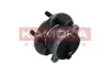 Ступиця колеса 5500298