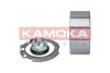 Набір підшипника ступиці колеса KAMOKA 5600055 (фото 2)