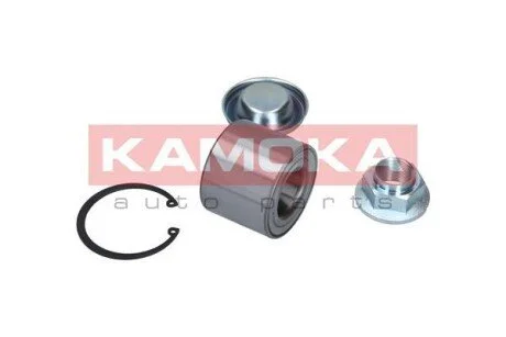 Підшипник ступиці колеса (набір) KAMOKA 5600092
