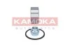 Набір підшипника ступиці колеса KAMOKA 5600094 (фото 2)