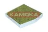 Автозапчастина KAMOKA 6080084 (фото 2)