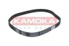 Ремінь ГРМ Opel Combo/Astra/Insignia/Meriva 1.6/1.8i 04-15 (146x24) KAMOKA 7000034 (фото 1)