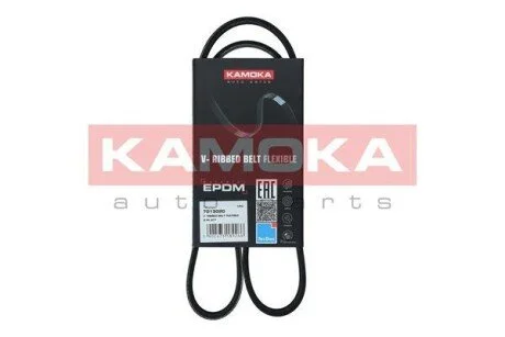 Автозапчастина KAMOKA 7013020
