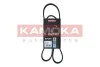 PASEK MICRO-V 5 PK 1100 7015035